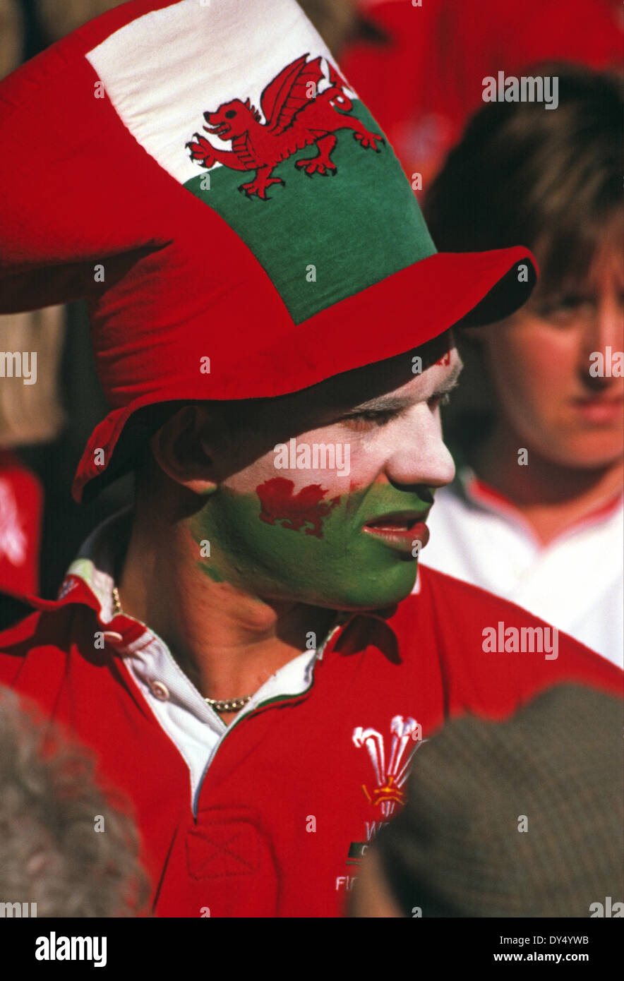 Welsh rugby fan di sostenere la loro squadra nel Millennium Stadium Foto Stock