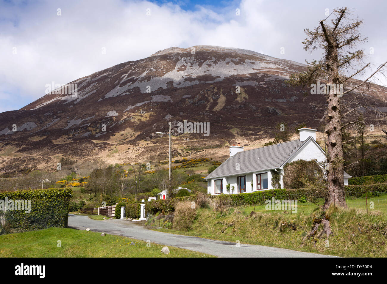 Irlanda, Co Donegal, Dunlewey, cottage sotto Mount Errigal, Irlanda la seconda montagna più alta Foto Stock