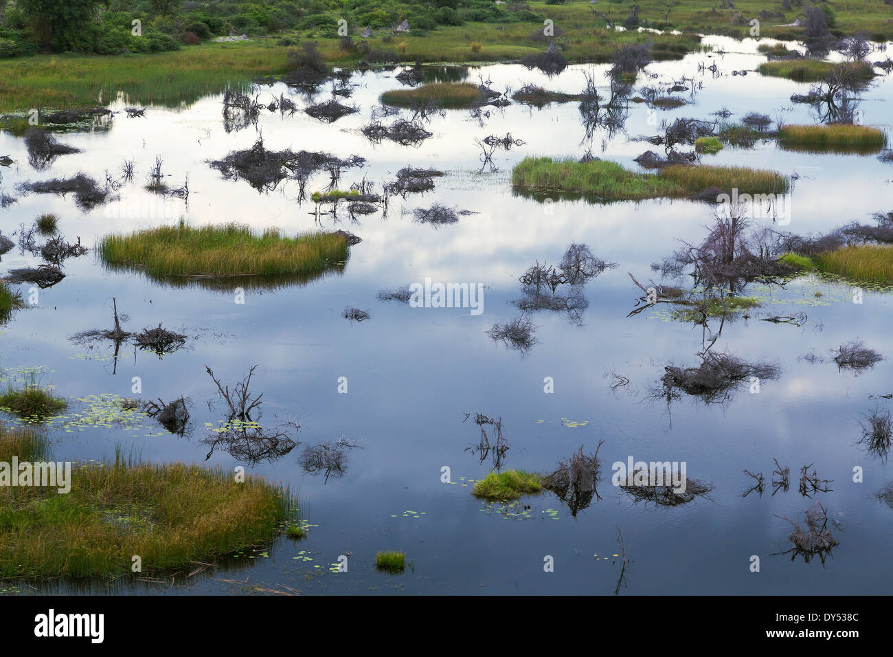Okavango Delta, Chobe National Park, Botswana, Africa Foto Stock