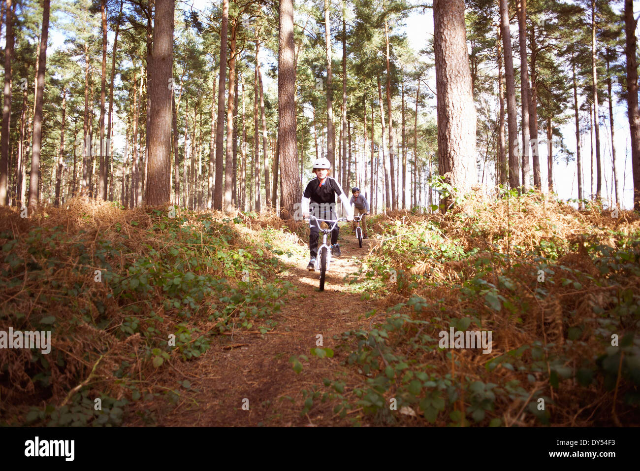 I fratelli gemelli racing biciclette BMX in foresta Foto Stock