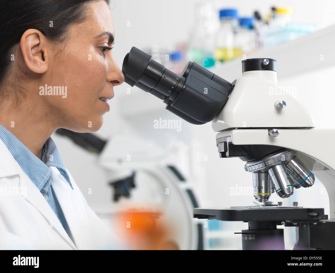 Donna scienziato visualizzazione diapositiva campione per il test clinico in laboratorio Foto Stock