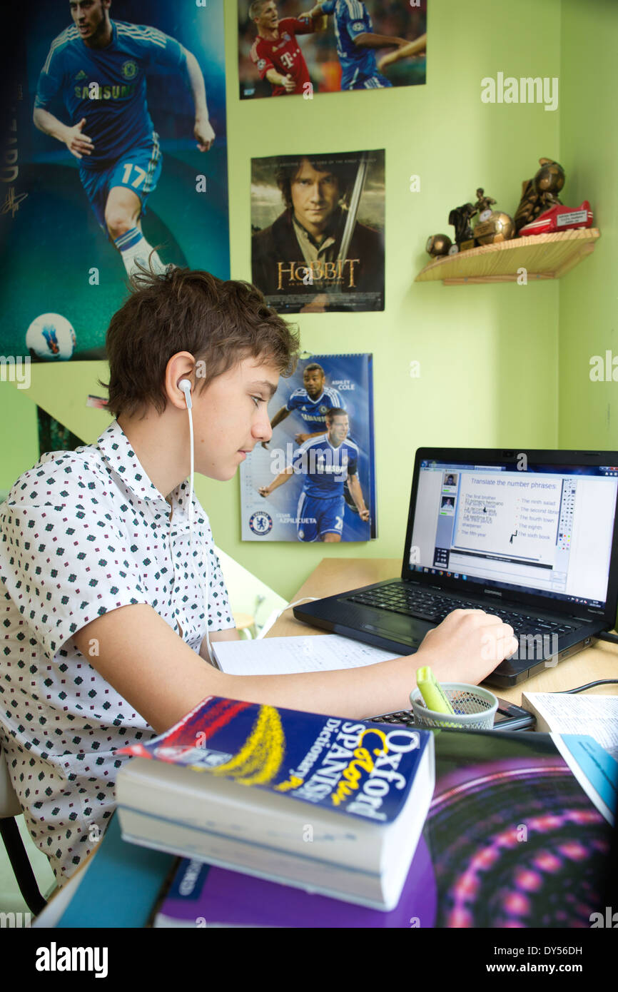 Il 15-anno-vecchio Adrian Markovac è casa educati e accede al MyTutorWeb quattro volte la settimana per tutoring virtuale, educazione on line. Foto Stock