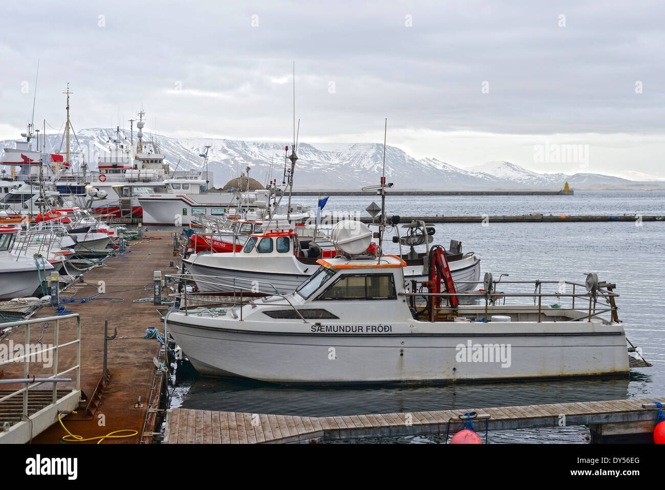 Porto di Reykjavik, Islanda Foto Stock