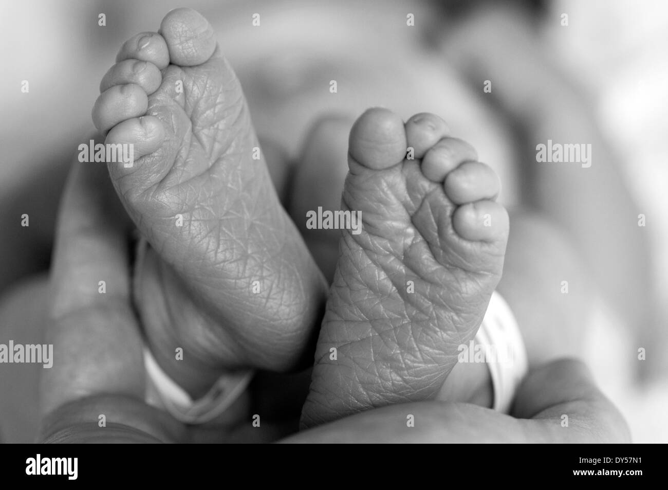 Close up dei neonati piedi cupped in mani Foto Stock