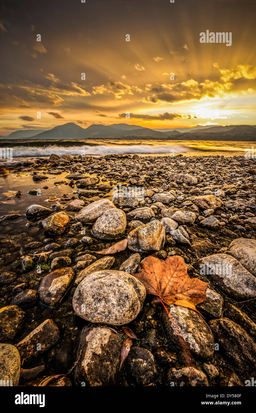 Foglia di acero e costa rocciosa Lago Okanagan, Naramata, British Columbia, Canada Foto Stock