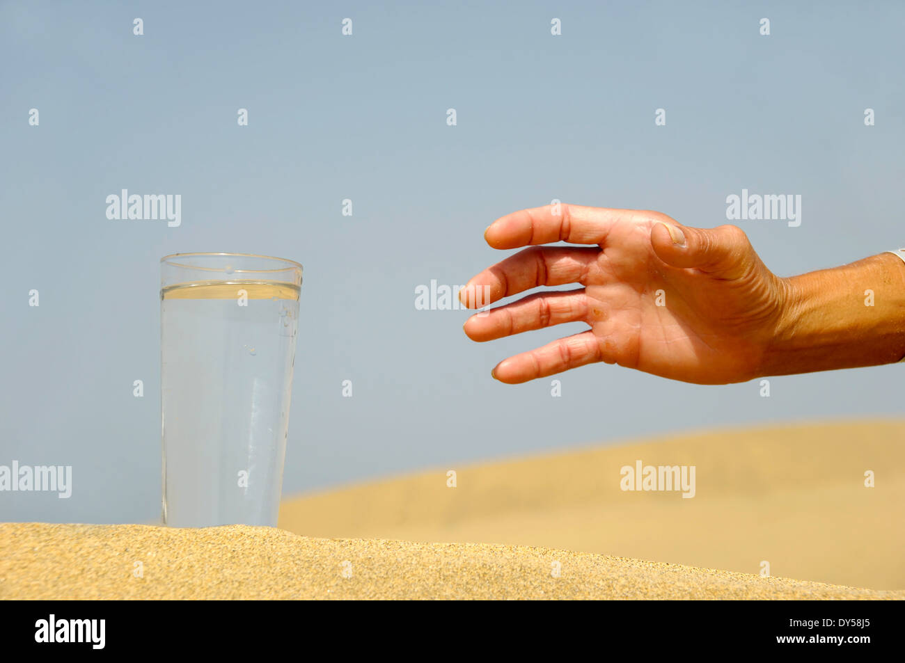 Mano è il raggiungimento di un fresco bicchiere di acqua fredda nel deserto. Foto Stock