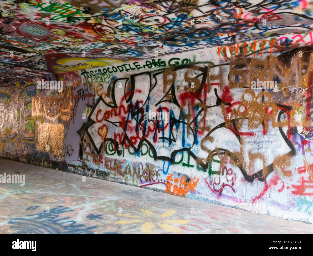 Graffiti in strada13th sottopassaggio presso l'Università della Florida, Stati Uniti d'America Foto Stock