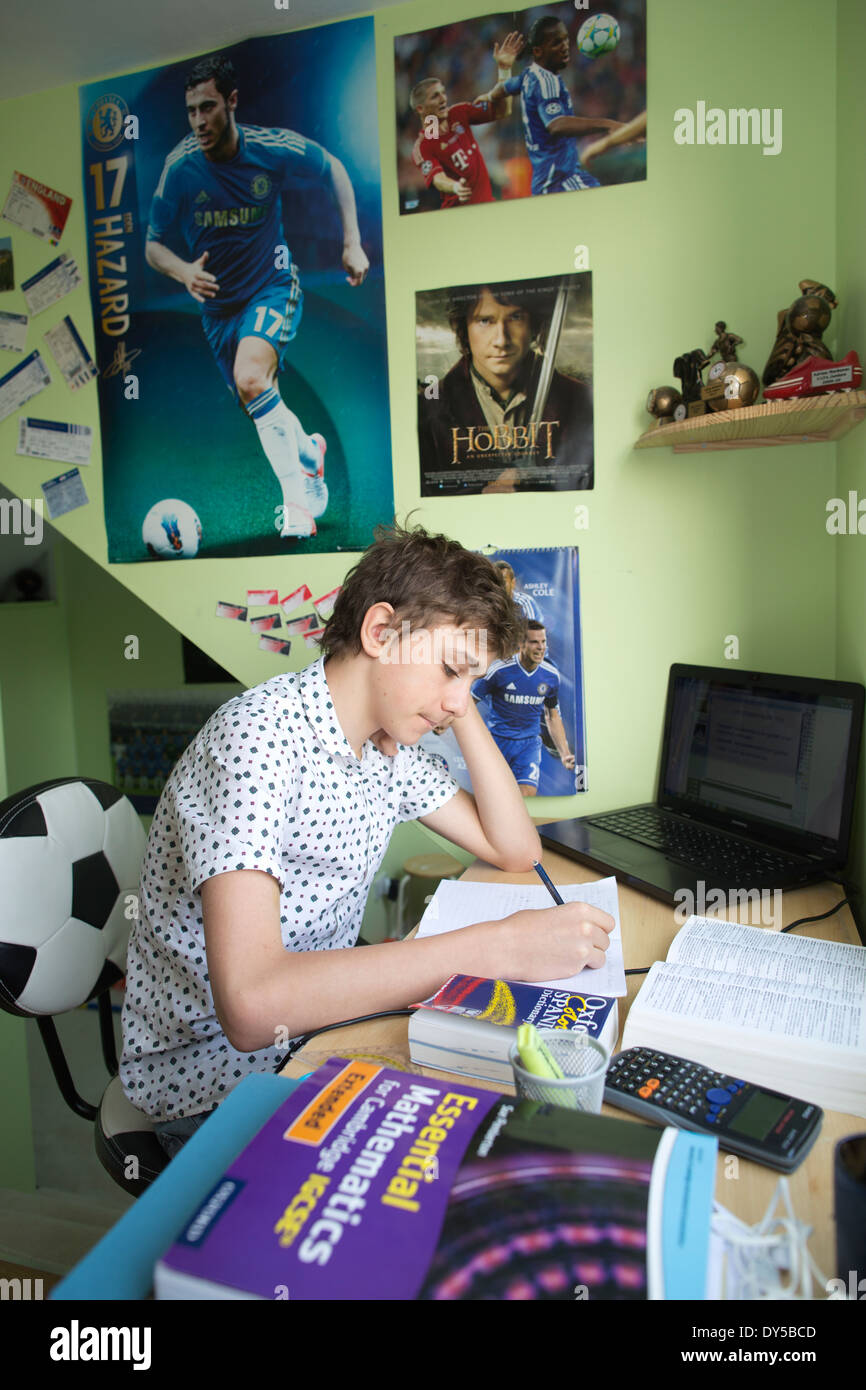 Il 15-anno-vecchio Adrian Markovac è casa educati e accede al MyTutorWeb quattro volte la settimana per tutoring virtuale, educazione on line. Foto Stock