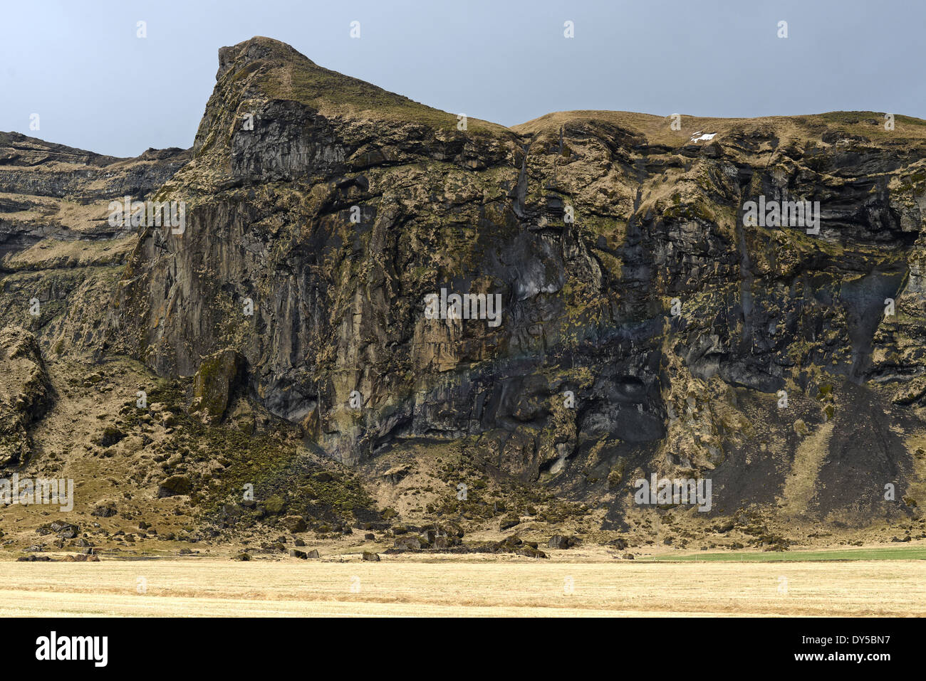 La roccia vulcanica in Islanda Foto Stock