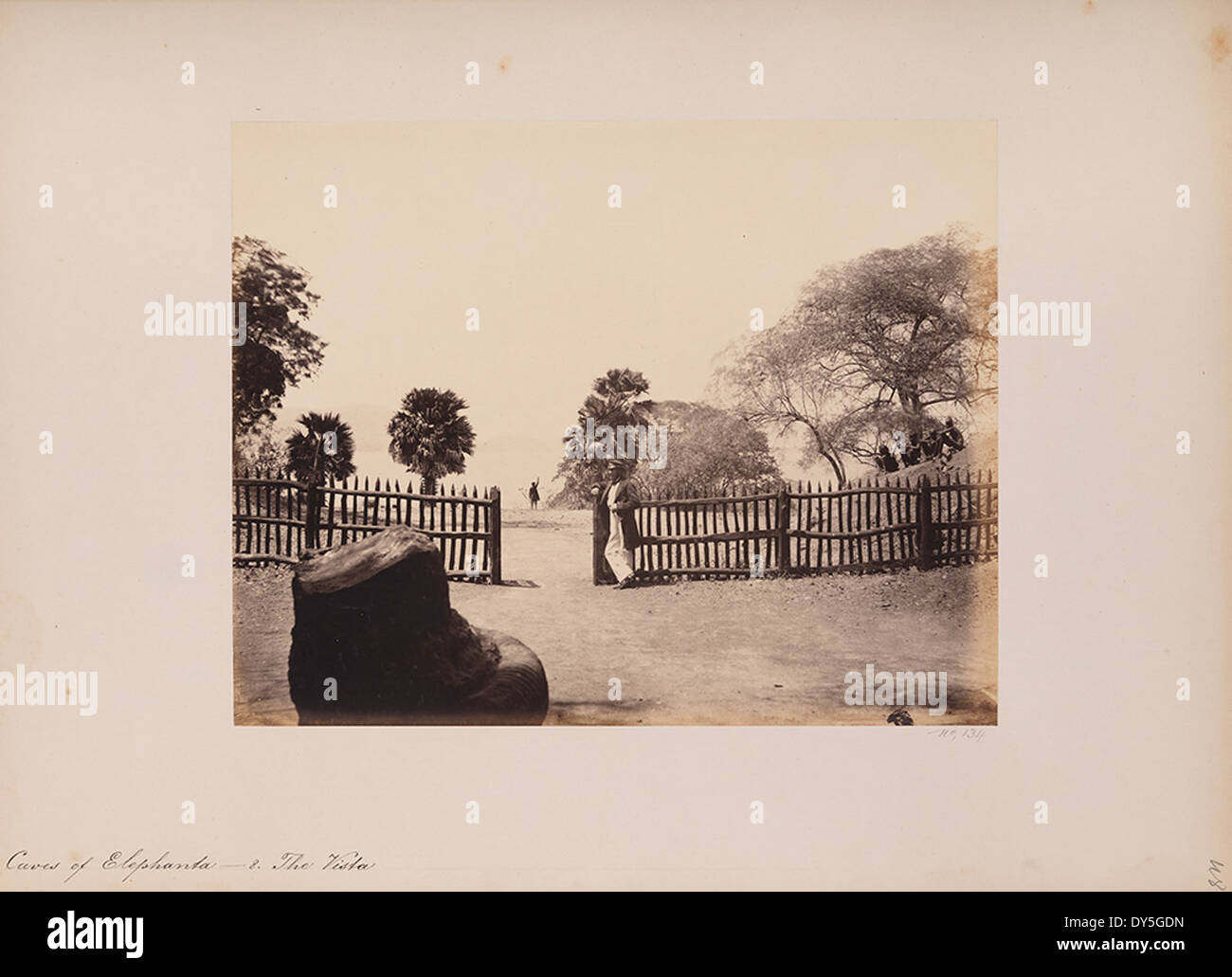 Le Grotte di Elephanta, note anche come la città delle grotte, sono antichi templi scavati nella roccia situati vicino a Mumbai, in India. Queste grotte sono dedicate alla setta indù Shaiva e presentano sculture e intagli intricati legati agli dei indù, in particolare a Shiva. Foto Stock