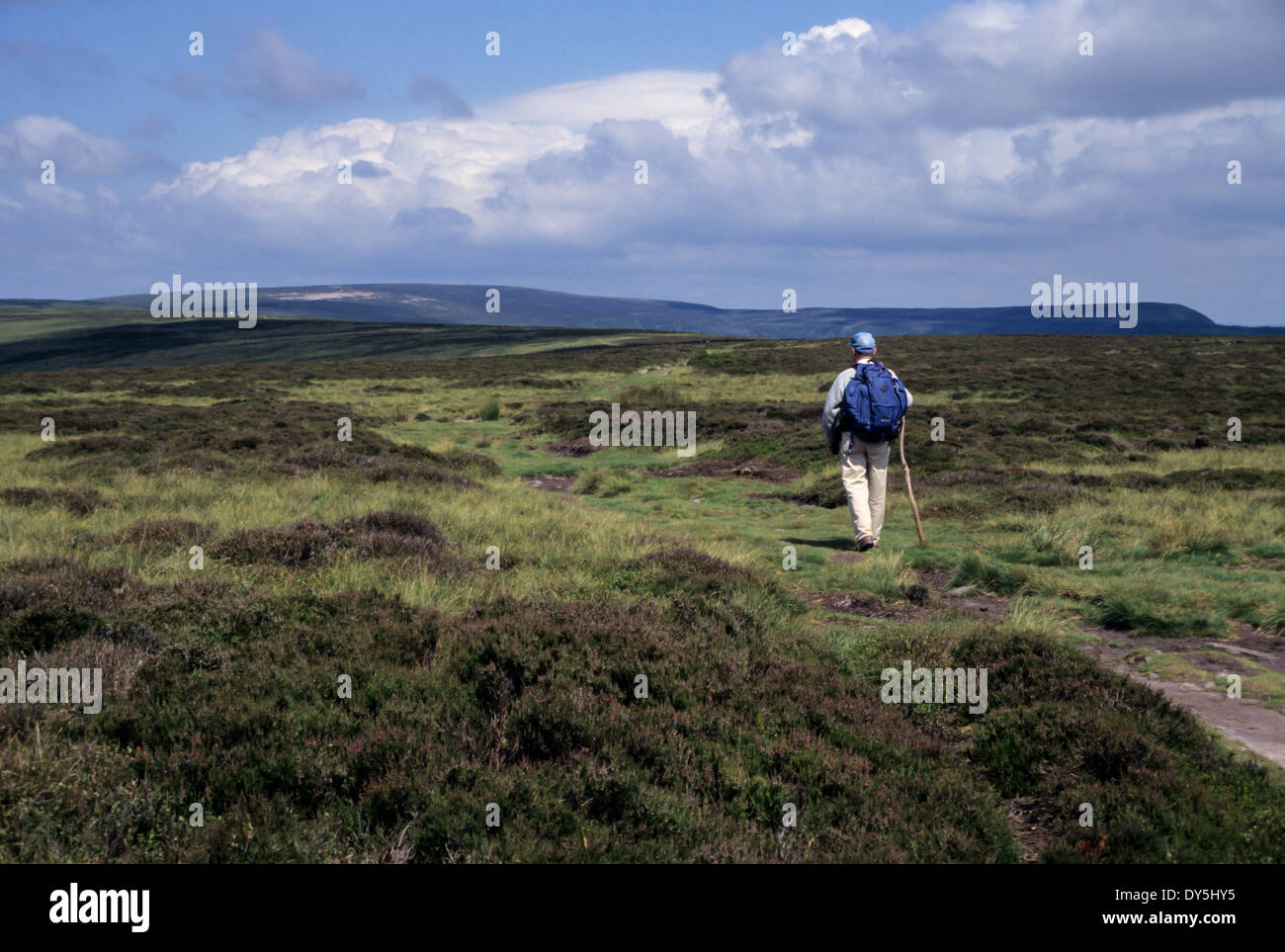 Il Galles, Offa's Dyke sentiero. Escursionista sulla cresta Hatterrall, nei pressi di Llanthony. Foto Stock