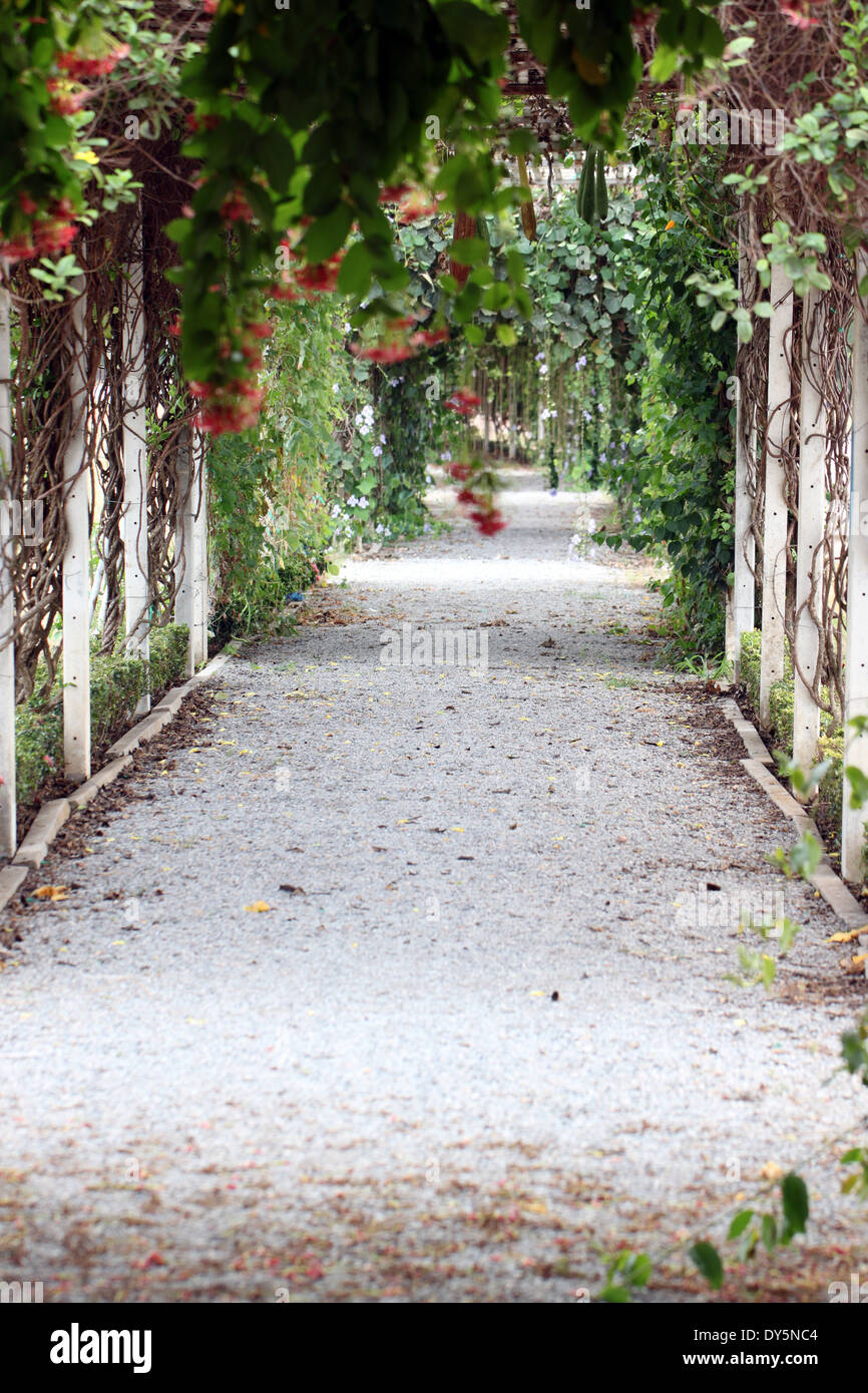 I camminamenti giardino pieno di alberi e fiori. Foto Stock