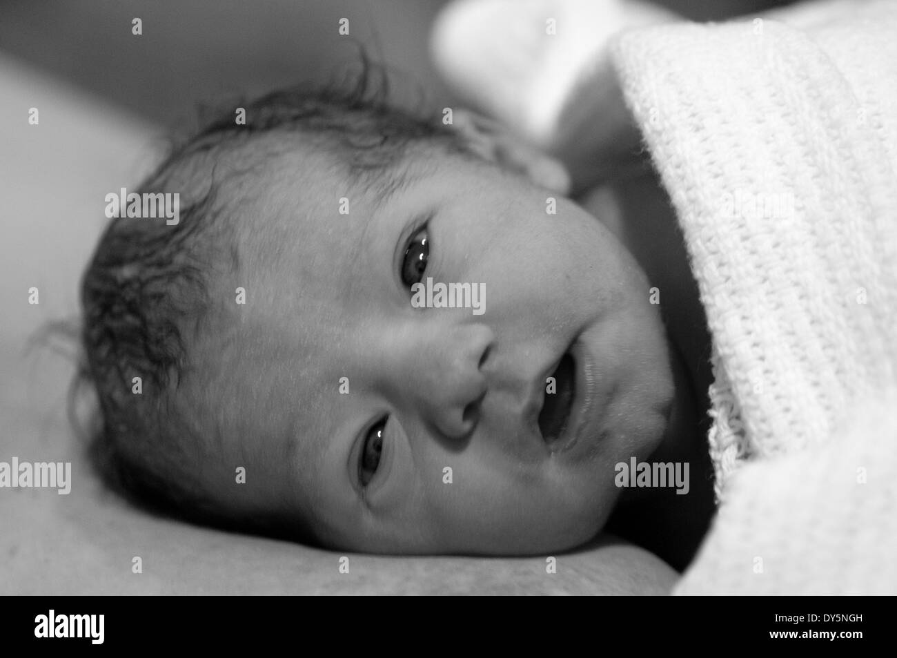 Foto in bianco e nero del neonato ragazza avvolto in una coperta con gli occhi aperti e guardando la telecamera Foto Stock