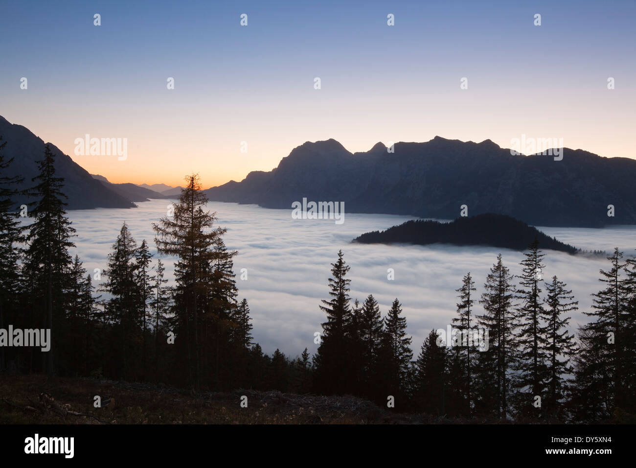 Vista la nebbia nella valle su Reiteralpe all'alba, regione di Berchtesgaden, Parco Nazionale di Berchtesgaden, Alta Baviera, Germa Foto Stock