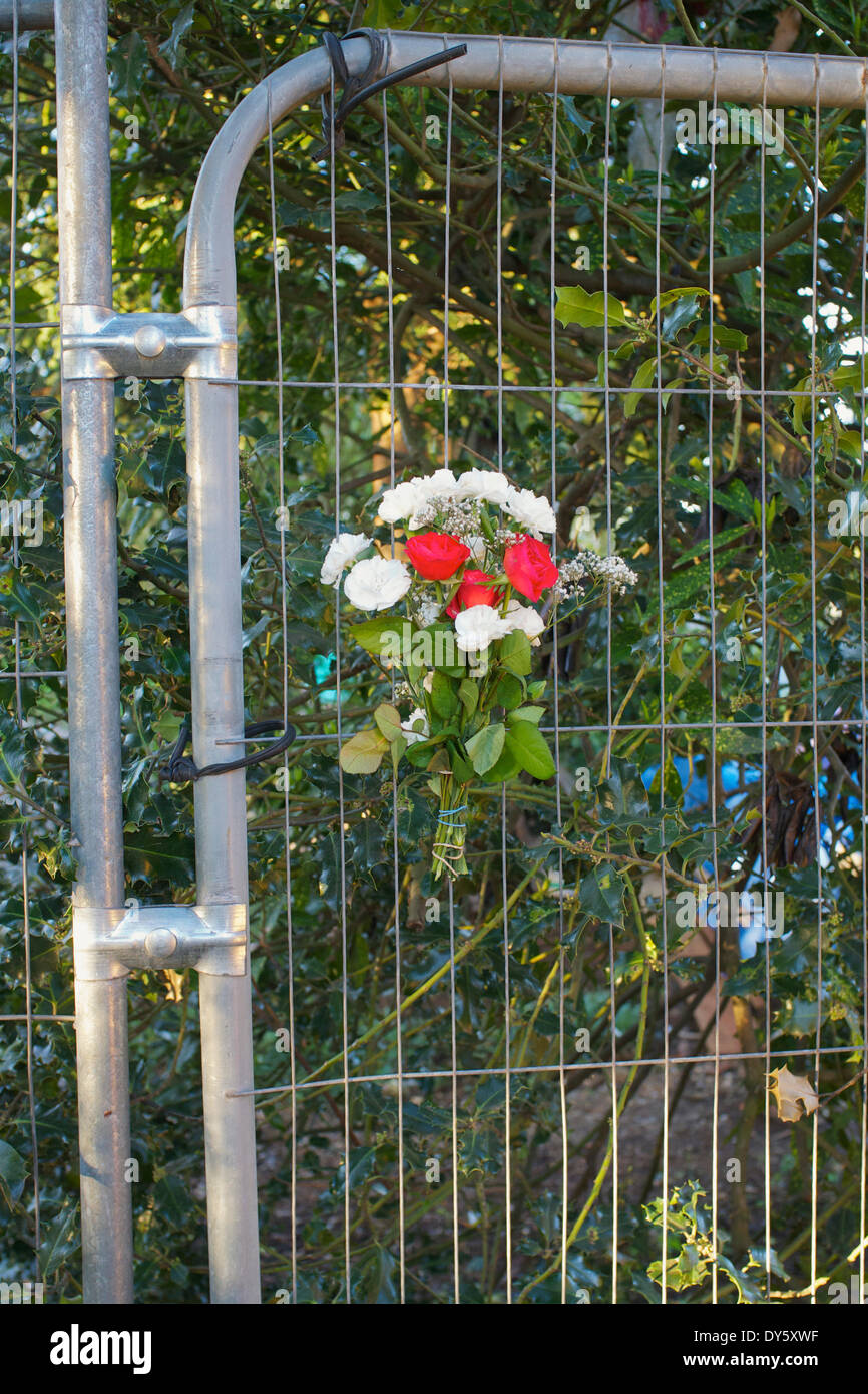 Faversham Kent REGNO UNITO DAL 8 APRILE 2014: omaggi floreali per le pesche Geldof morto ieri invecchiato 25 inizia a comparire a Bob Geldofs Faversham home Credito: ADP-news/Alamy Live News Foto Stock