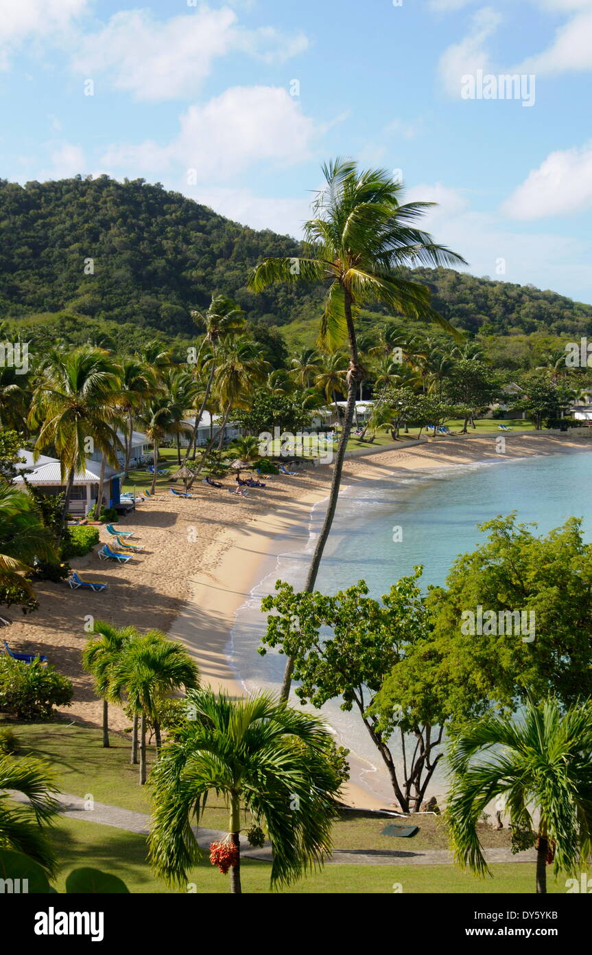 Hawksbill Beach, Hawksbill Hotel di Antigua, Isole Sottovento, West Indies, dei Caraibi e America centrale Foto Stock