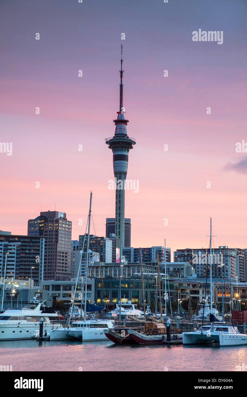 Porto di Viaduct e Sky Tower al tramonto, Auckland, Isola del nord, Nuova Zelanda, Pacific Foto Stock