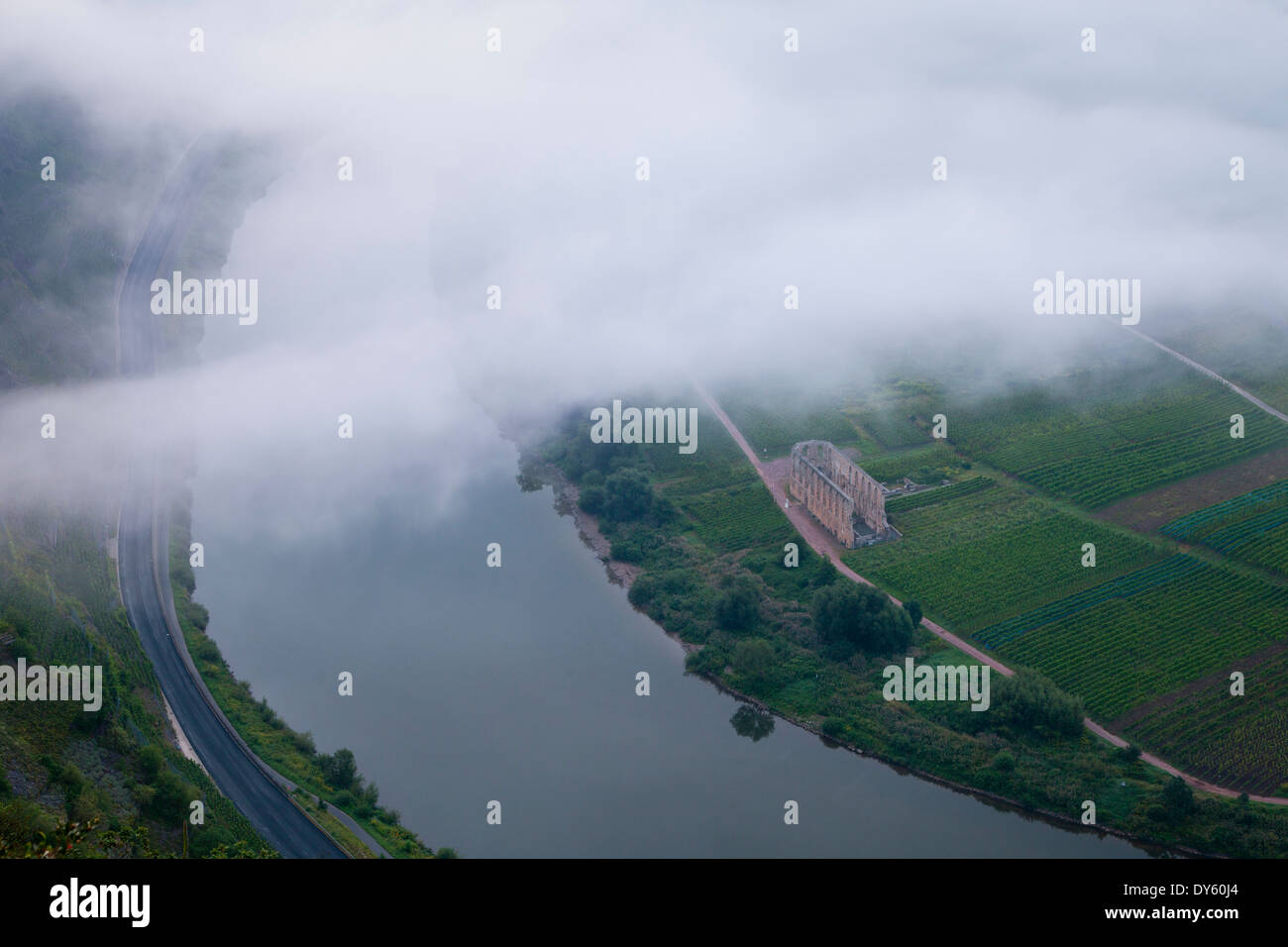 La nebbia presso le rovine di Stuben monastero vicino Bremm, sul fiume Mosella, Renania-Palatinato, Germania Foto Stock