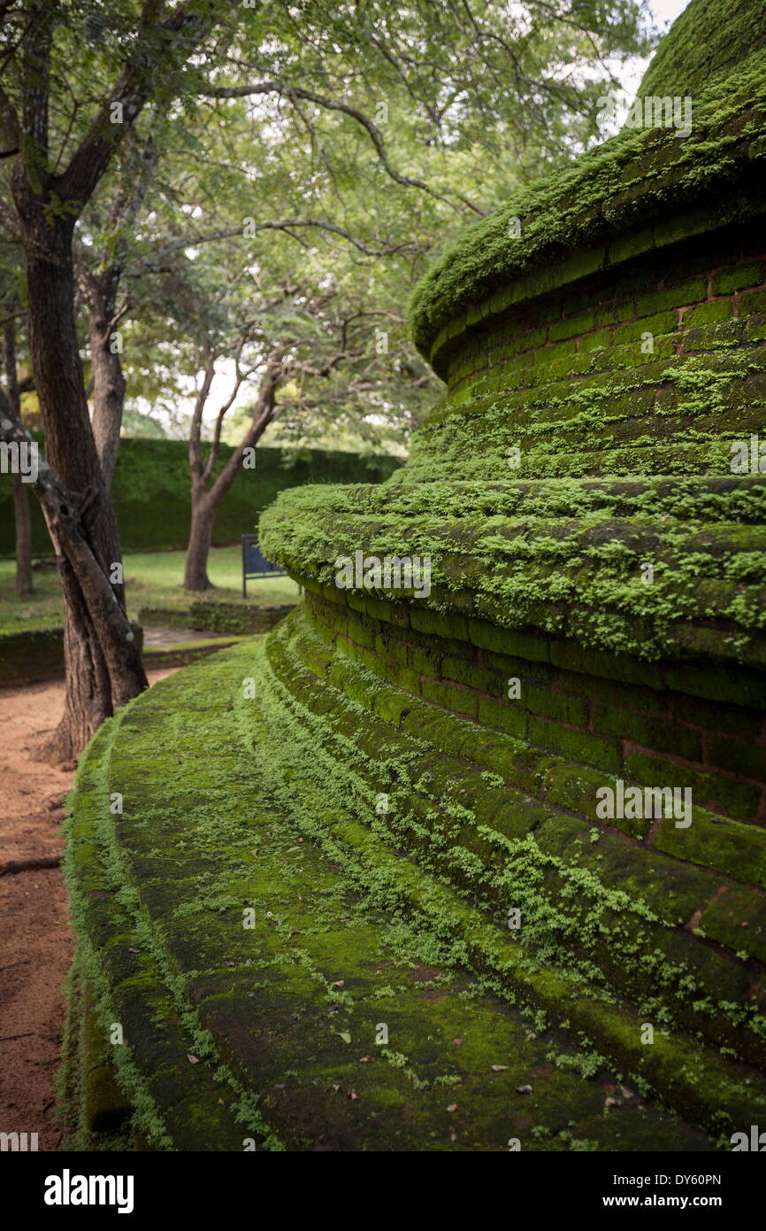 Le creste della cupola a forma di struttura nel Kiri Vihara tempio Buddista rovine, Polonnaruwa, sito UNESCO, Sri Lanka, Asia Foto Stock