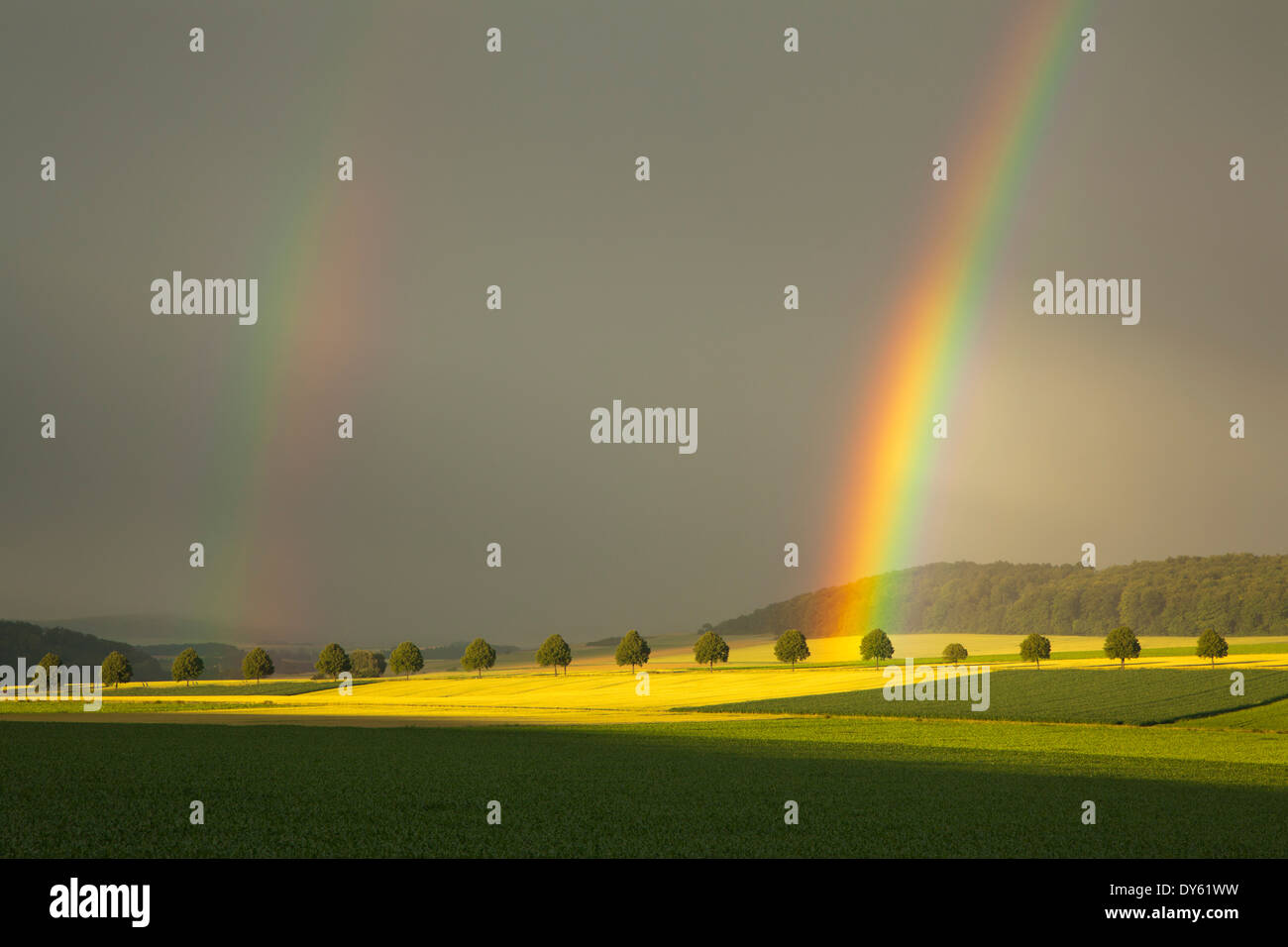 Rainbow con thunderclouds, Solling, Bassa Sassonia, Germania Foto Stock