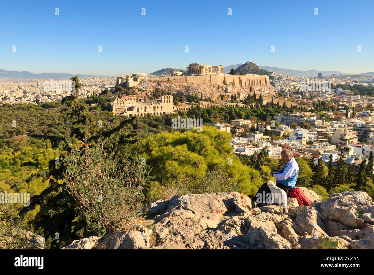 Uomo con cane legge un libro sulla collina di Filopappos, con vista del Partenone e Acropoli di Atene, Grecia, Europa Foto Stock