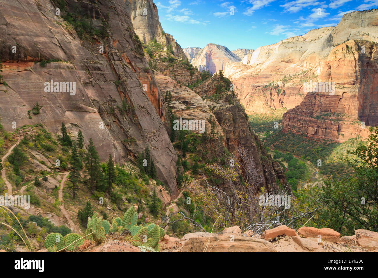 Vista in Zion Canyon dal sentiero per punto di osservazione, il Parco Nazionale di Zion, Utah, Stati Uniti d'America, America del Nord Foto Stock