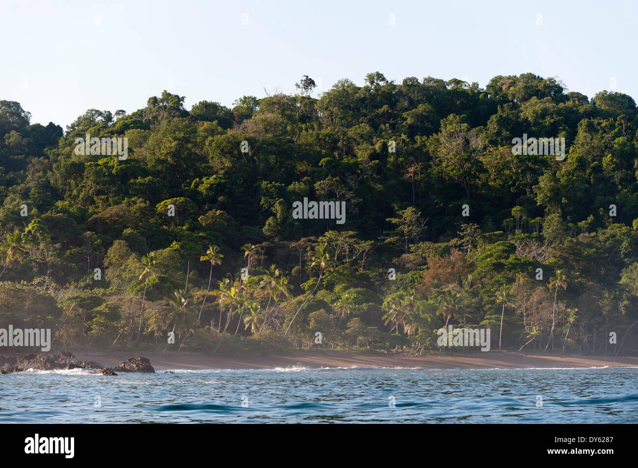 Parco Nazionale di Corcovado, Osa Peninsula, Costa Rica, America Centrale Foto Stock