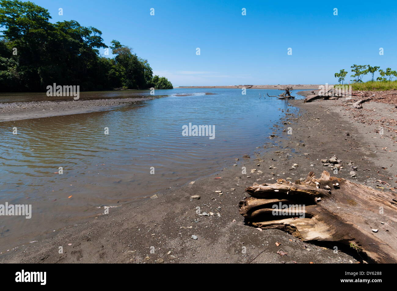 Parco Nazionale di Corcovado, Osa Peninsula, Costa Rica, America Centrale Foto Stock