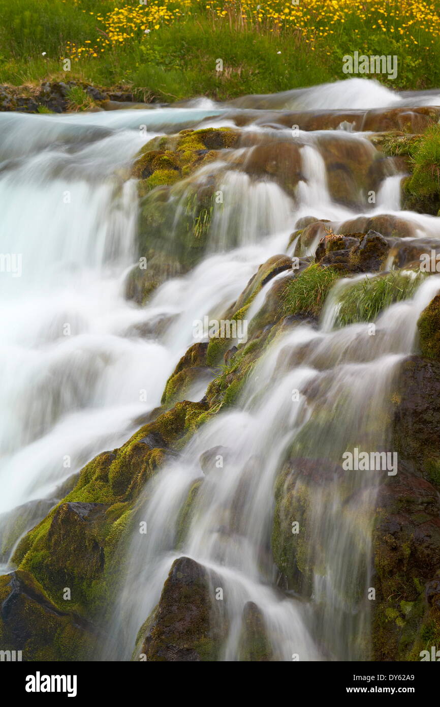 Dettaglio della cascata, Dynjandi, Islanda, regioni polari Foto Stock