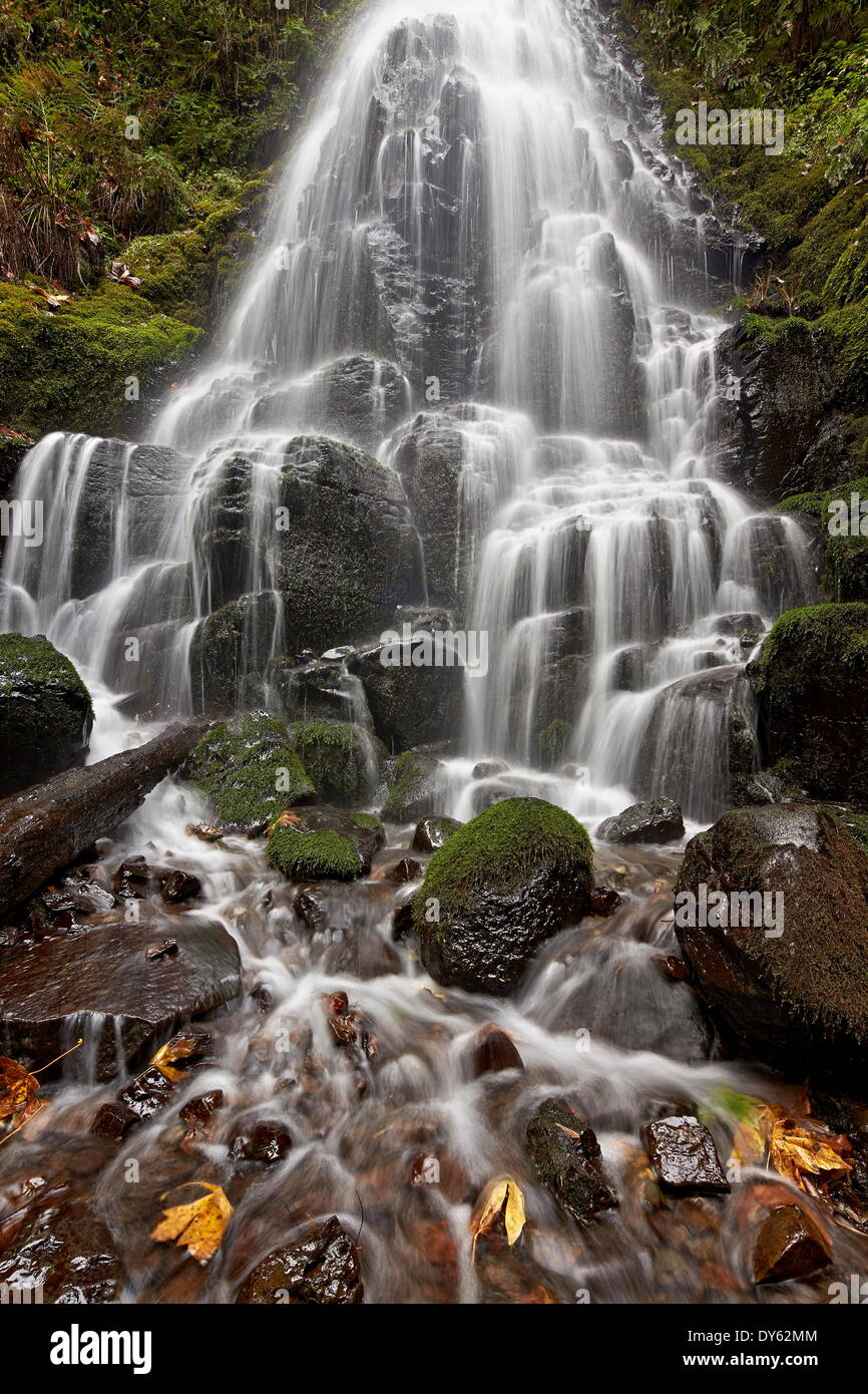 Le Fairy Falls in autunno, Columbia River Gorge, Oregon, Stati Uniti d'America, America del Nord Foto Stock