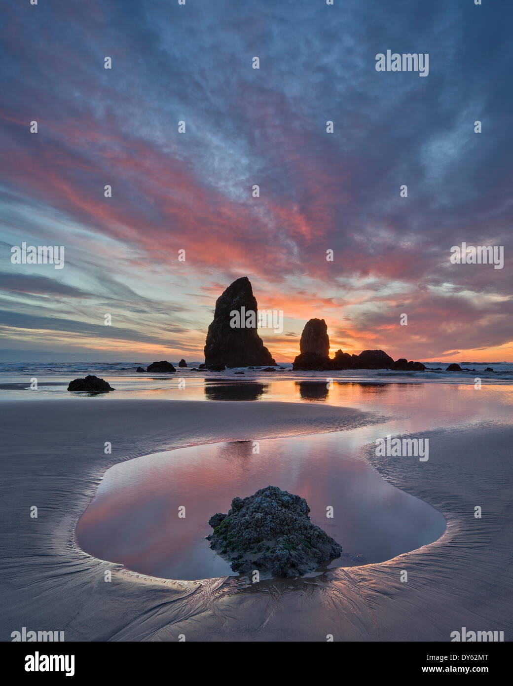 Pile di mare al tramonto, Cannon Beach, Oregon, Stati Uniti d'America, America del Nord Foto Stock