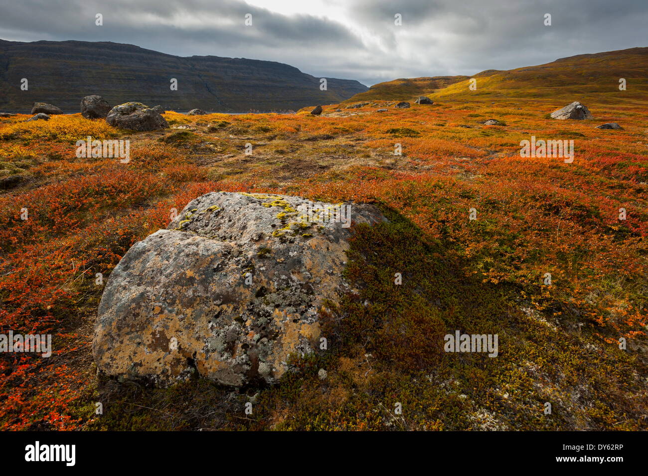 A ovest di fiordi, Islanda, regioni polari Foto Stock