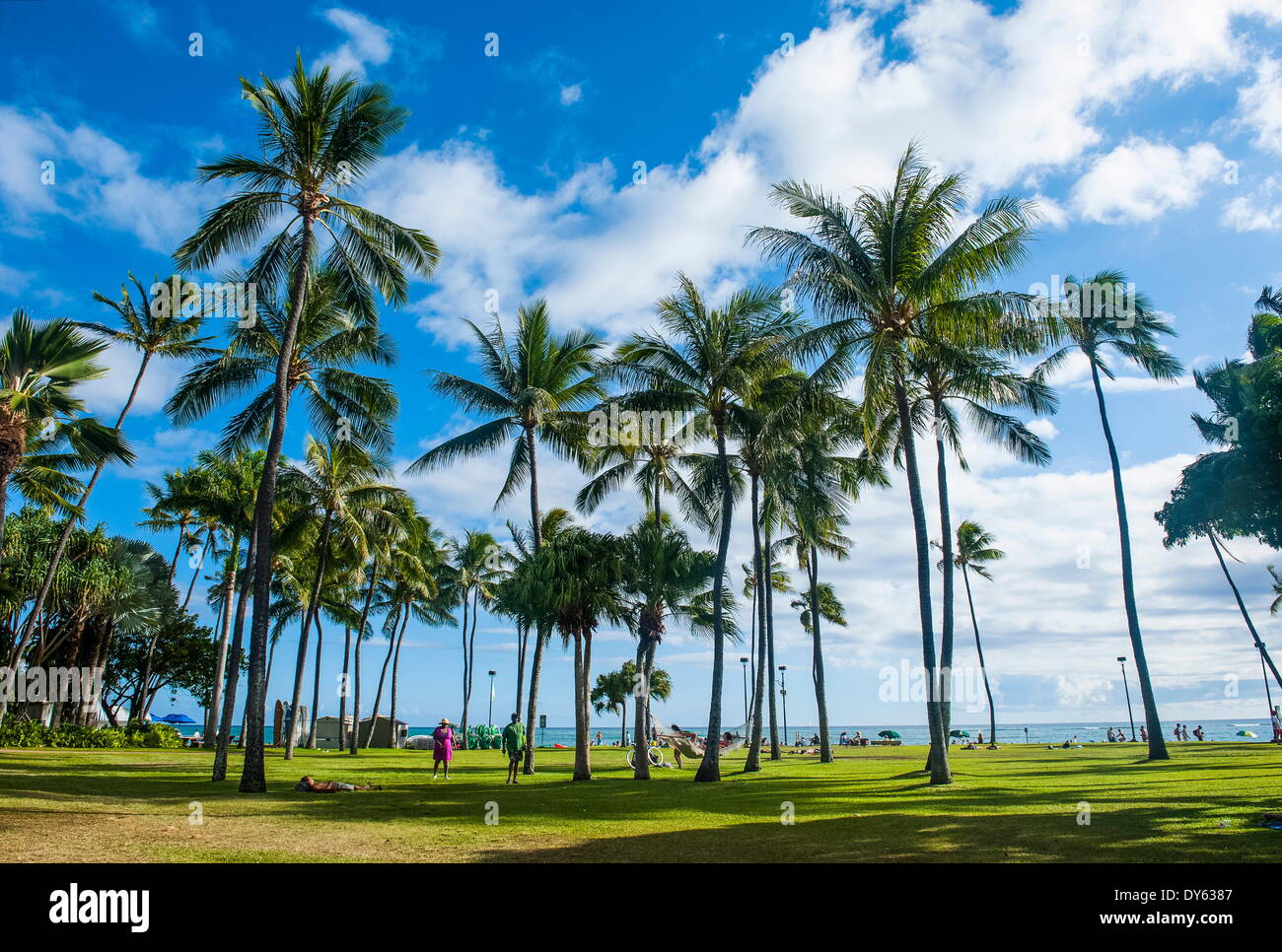 La spiaggia di Waikiki, Oahau, Hawaii, Stati Uniti d'America, il Pacifico Foto Stock