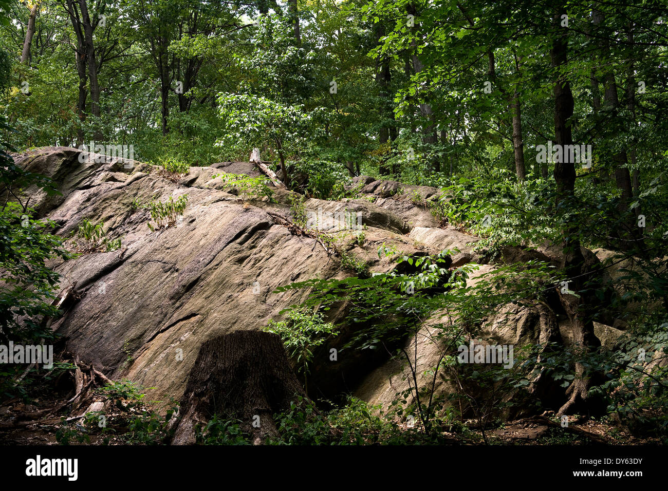 Inwood Hill Park, Manhattan, New York New York, America del Nord, STATI UNITI D'AMERICA Foto Stock