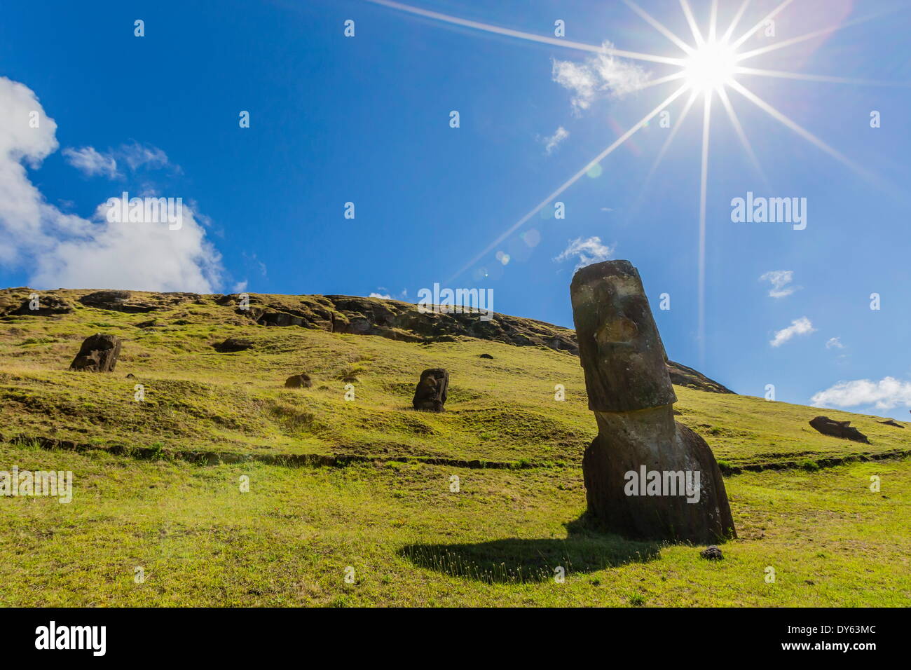 Rano Raraku, il sito di cava per tutti i moai statue sull'Isola di Pasqua (Isla de Pascua) (Rapa Nui), sito UNESCO, Cile Foto Stock