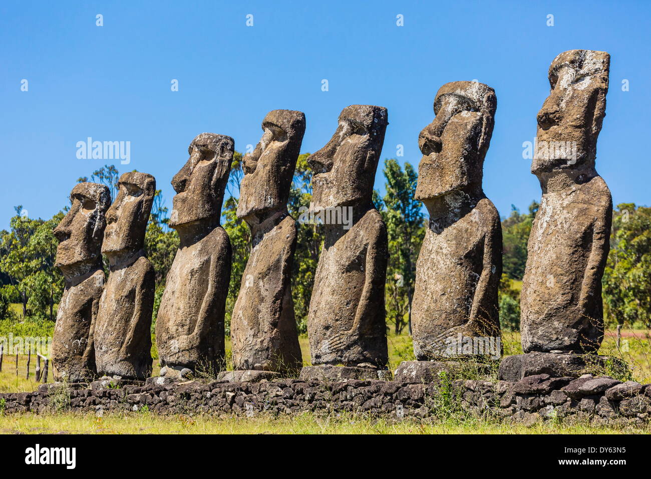 Sette Moai a Ahu Akivi, il primo altare restaurato sull'Isola di Pasqua (Isla de Pascua) (Rapa Nui), sito UNESCO, Cile Foto Stock