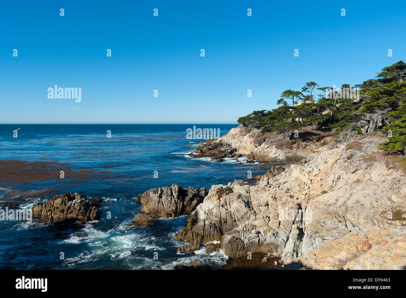 Pebble Beach, 17 miglia a Drive, Carmelo, California, Stati Uniti d'America, America del Nord Foto Stock