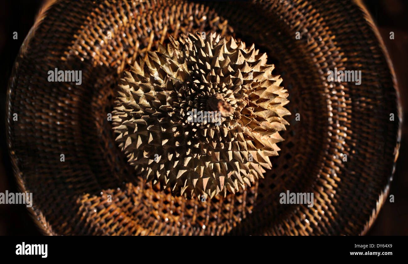 Frutta Durian su una piastra etnica, Manila, isola di Luzon, Filippine, Asia Foto Stock