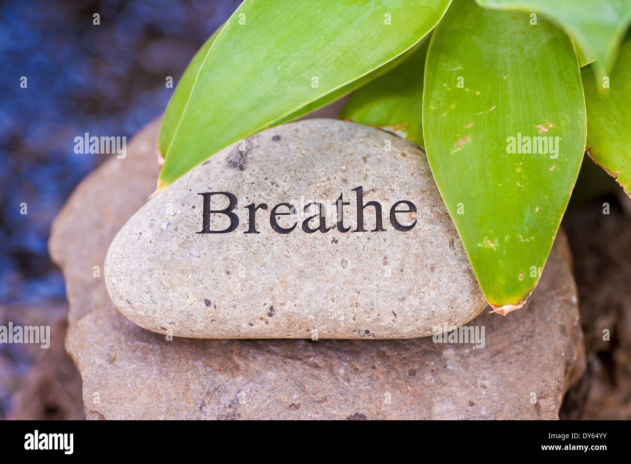 Meditazione Zen Garden altare: respirare Foto Stock