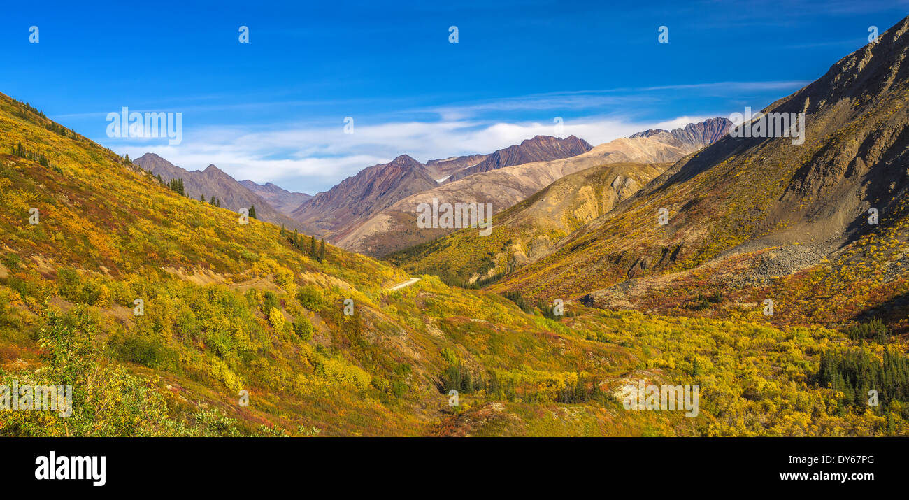 Guardando verso il basso un autunno colorato nella valle del Mackenzie zona di montagna Foto Stock