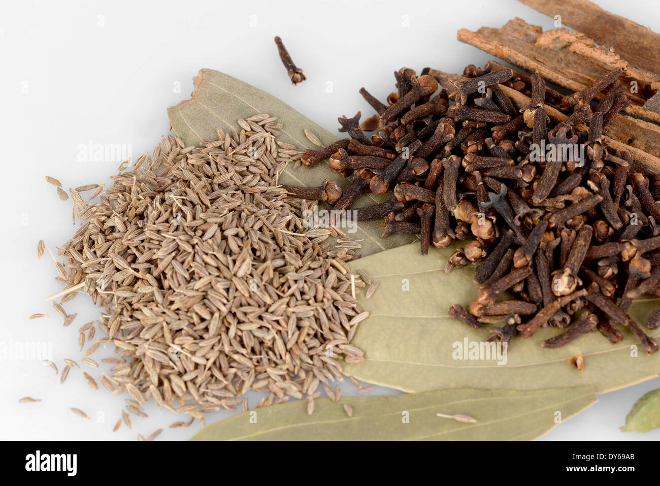 Ingredienti per il garam masala , Indian Spice mix Foto Stock