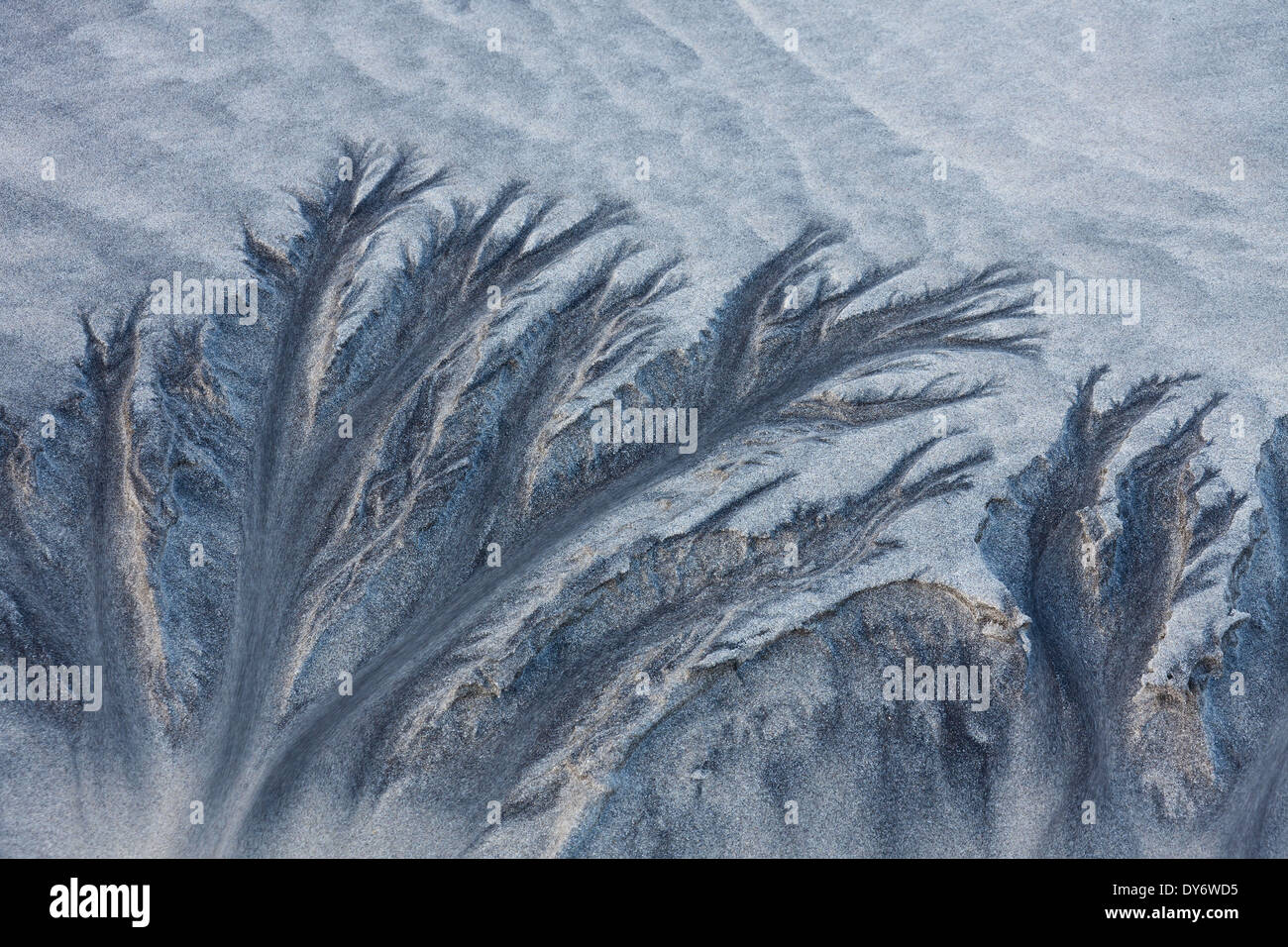 Modelli astratti nella sabbia di mare da erosione di acqua in spiaggia lungo la costa in inverno Foto Stock