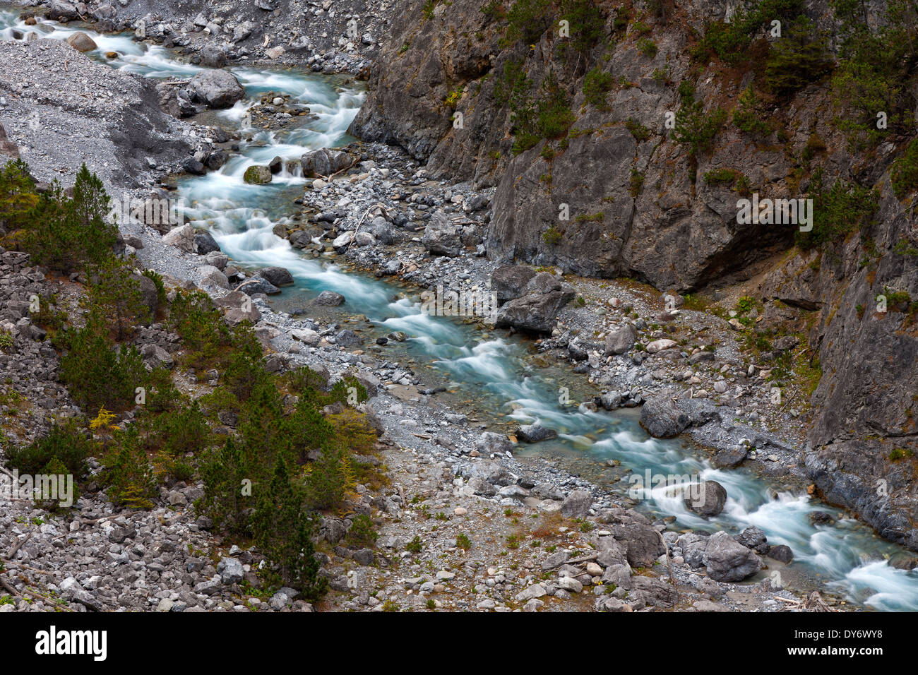 Torrente di montagna in esecuzione nella gola Clemgia nelle montagne del Parco Nazionale Svizzero a Graubünden / Grigioni, Alpi della Svizzera Foto Stock