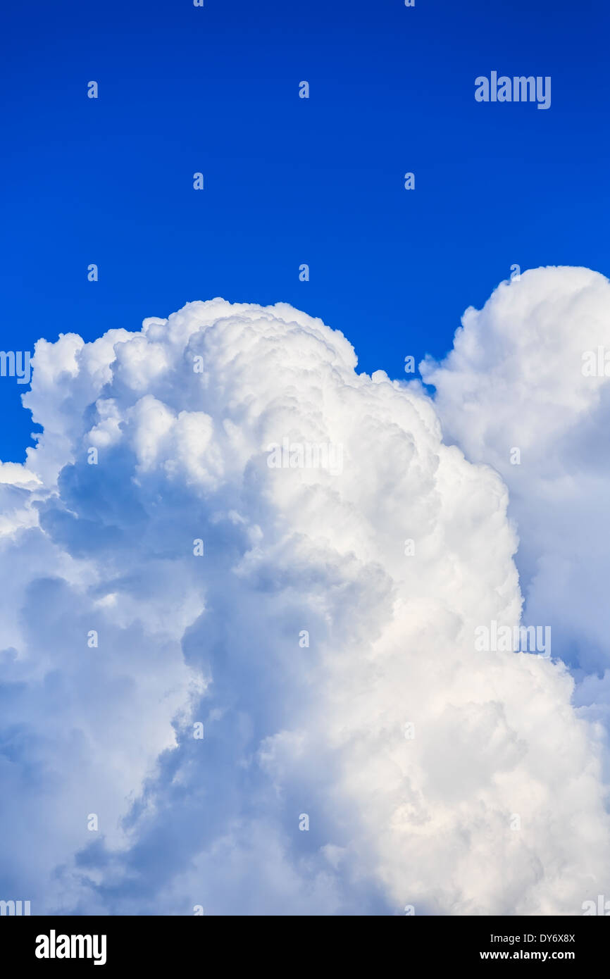 Cumulus la formazione di nube, close up Foto Stock