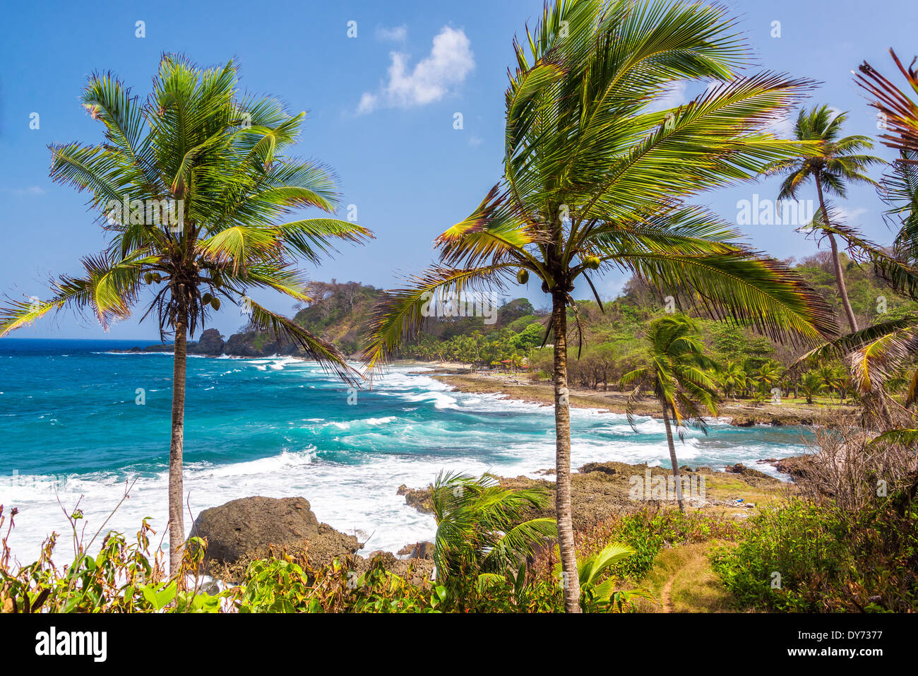 Le palme e la linea costiera caraibica vicino a Capurgana, Colombia Foto Stock