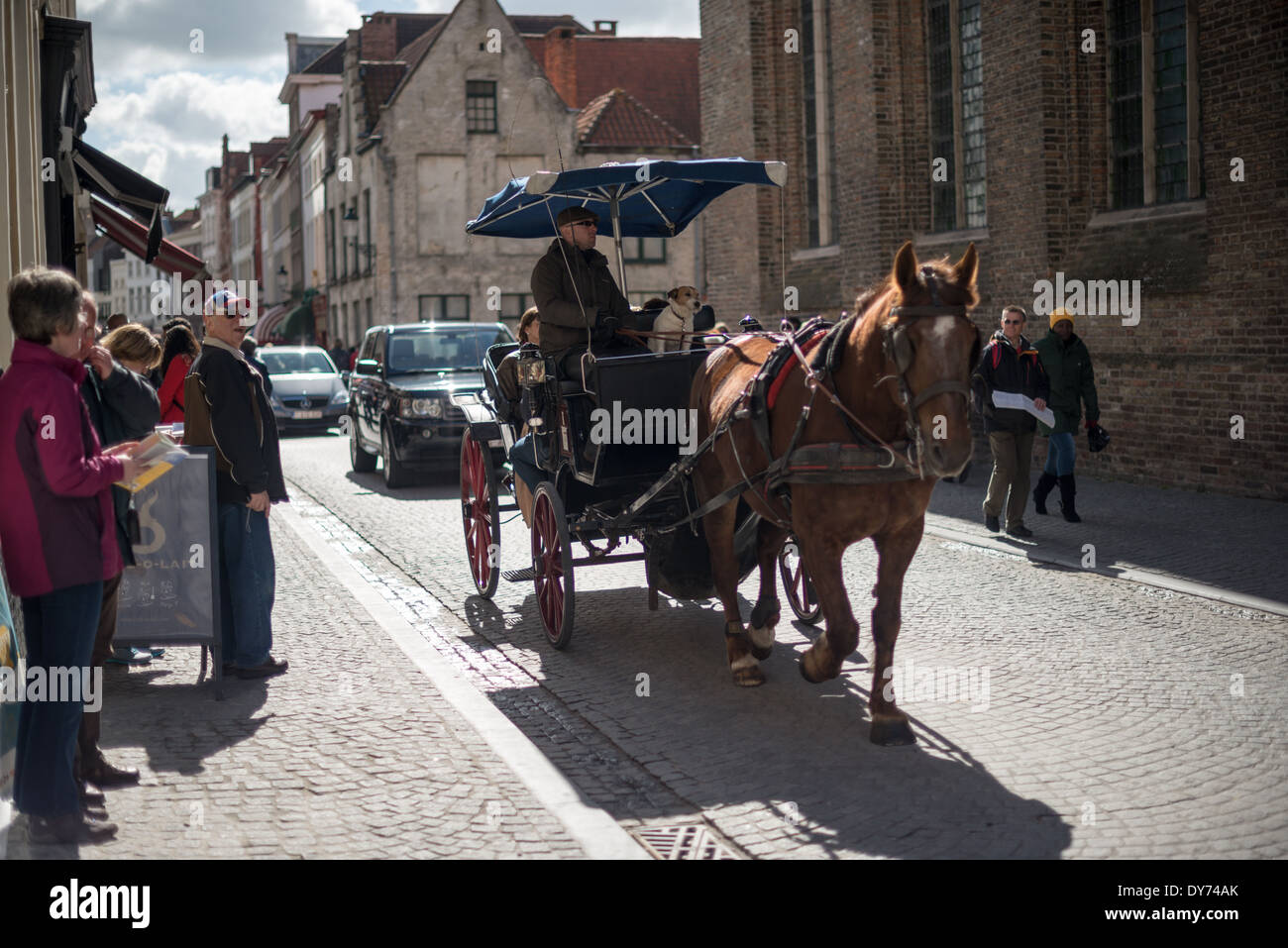 Tour in carrozza trainata da cavalli Bruges Belgio // BRUGES, Belgio - i visitatori esplorano le strade medievali di Bruges su una tradizionale carrozza trainata da cavalli, sperimentando il centro storico della città da una prospettiva unica. I tour in carrozza offrono un viaggio suggestivo attraverso le strade acciottolate del sito patrimonio dell'umanità dell'UNESCO. Questo storico metodo di visita turistica consente ai turisti di sperimentare il carattere medievale di Bruges. Foto Stock