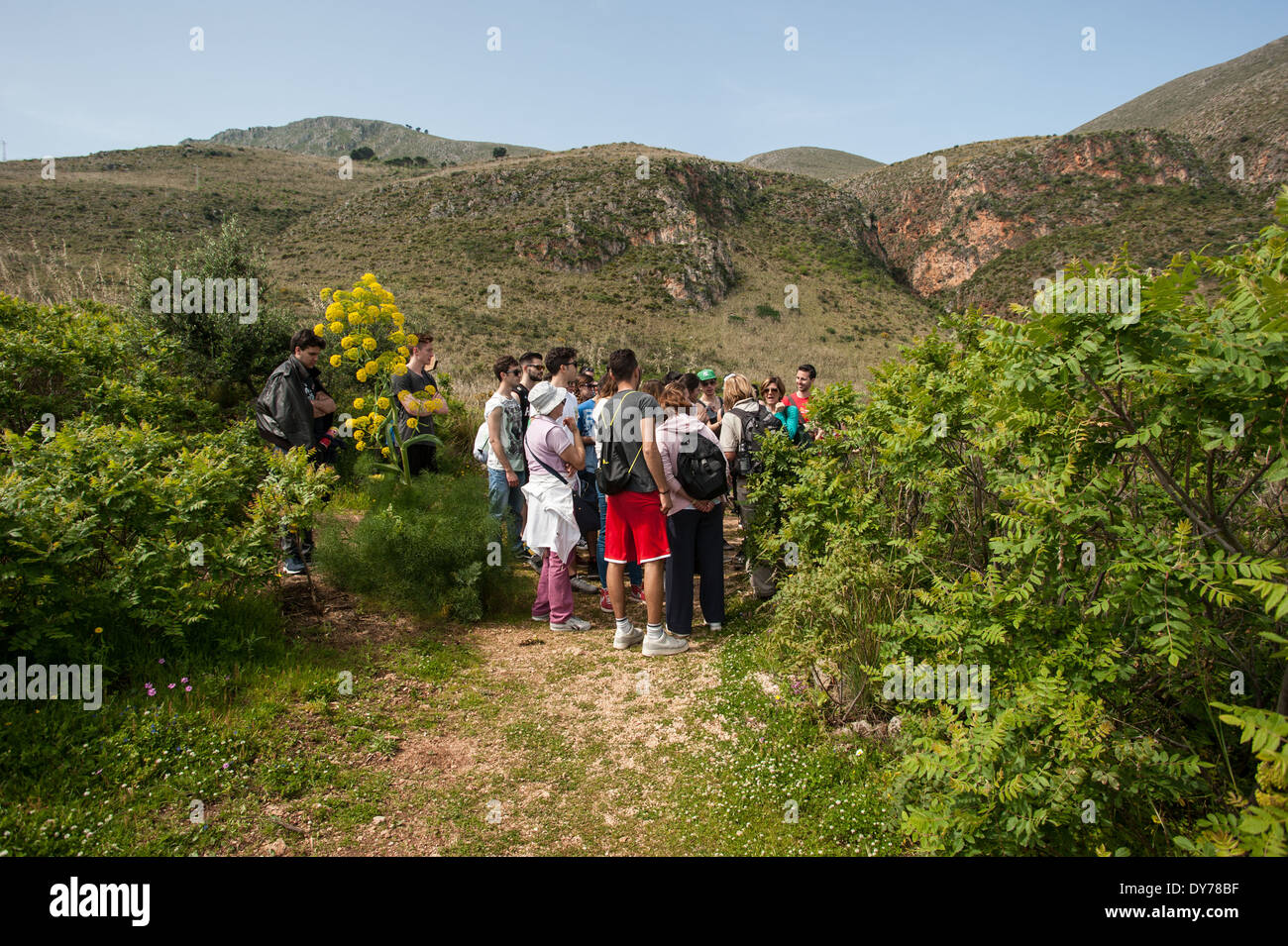 Natura Istruzione Foto Stock
