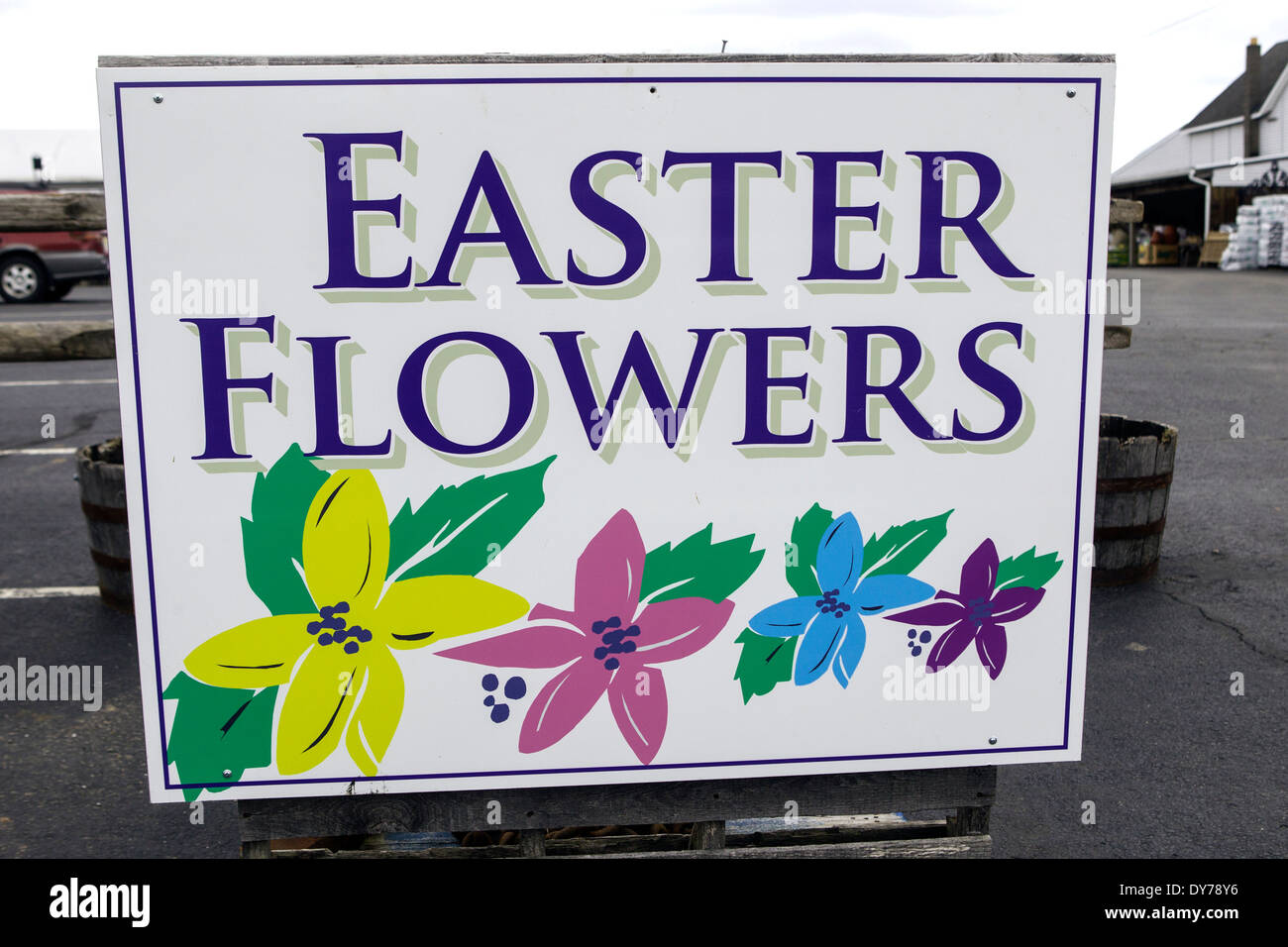 Una pasqua fiori segno davanti di un vivaio Foto Stock