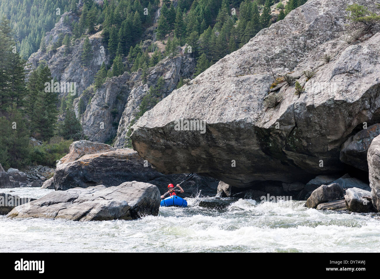 Pack paddler raft, Bear Canyon Trap, Madison River, Ennis, Montana. Foto Stock