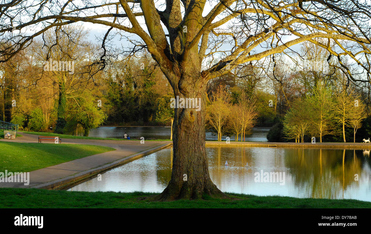 Abington Park Northampton Foto Stock